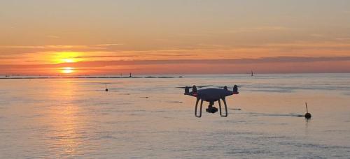 f2ecb46e-187a-4f0a-9384-c186b3888ca3